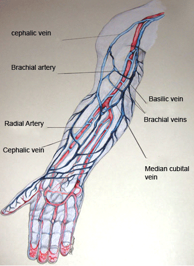 kidney-resource-page